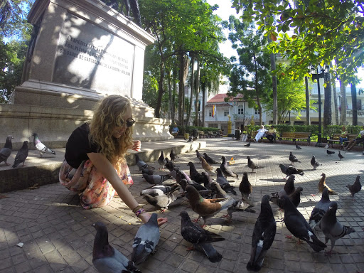 Mulher alimentando pombos em uma Plaza em Cartagena