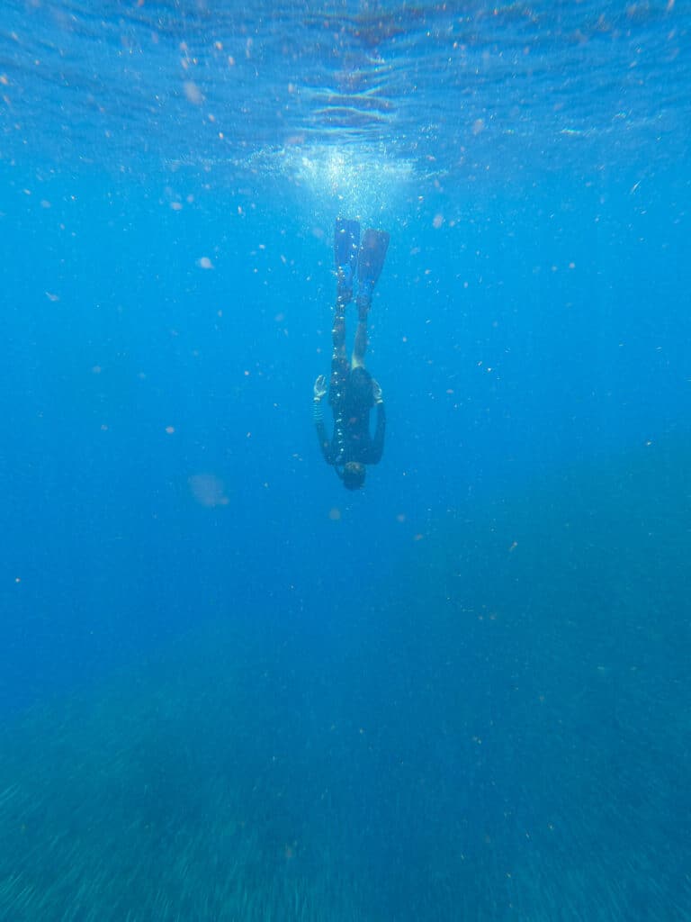 Mergulho com sardinhas em Moalboal