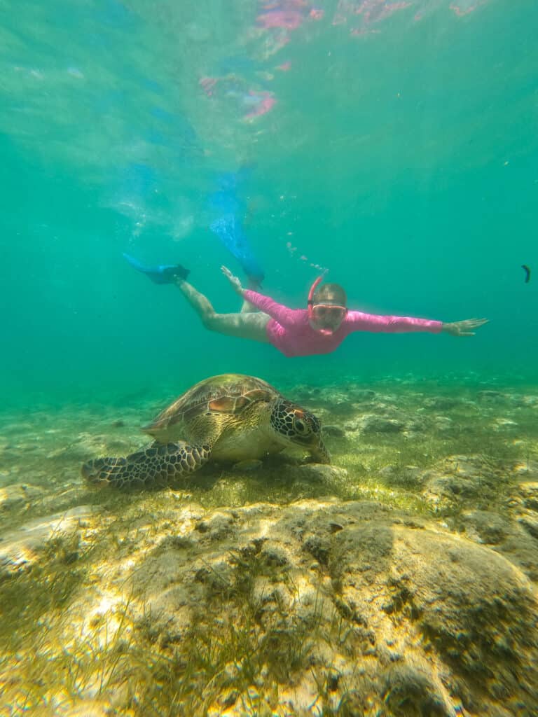 Mergulho com tartaruga em Moalboal