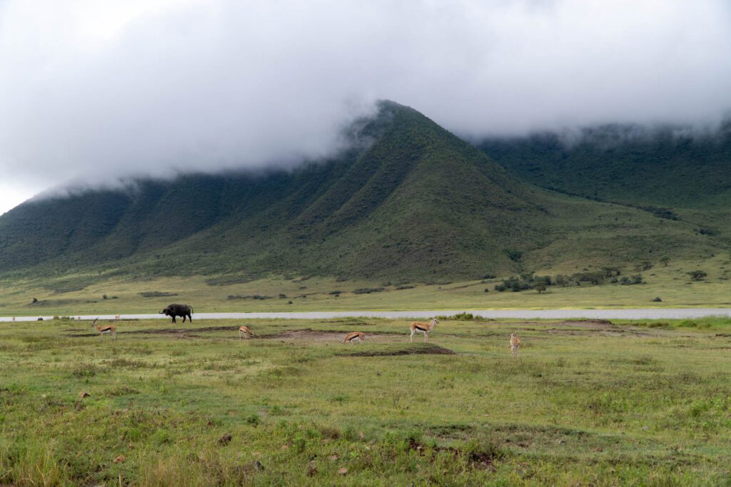 Cratera de Ngorongoro Tanzânia
